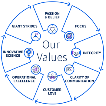 Circle showing Impirica's company values